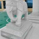 聊城 白麻花岗岩动物异形石雕-大象