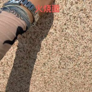 聊城黄金麻火烧面