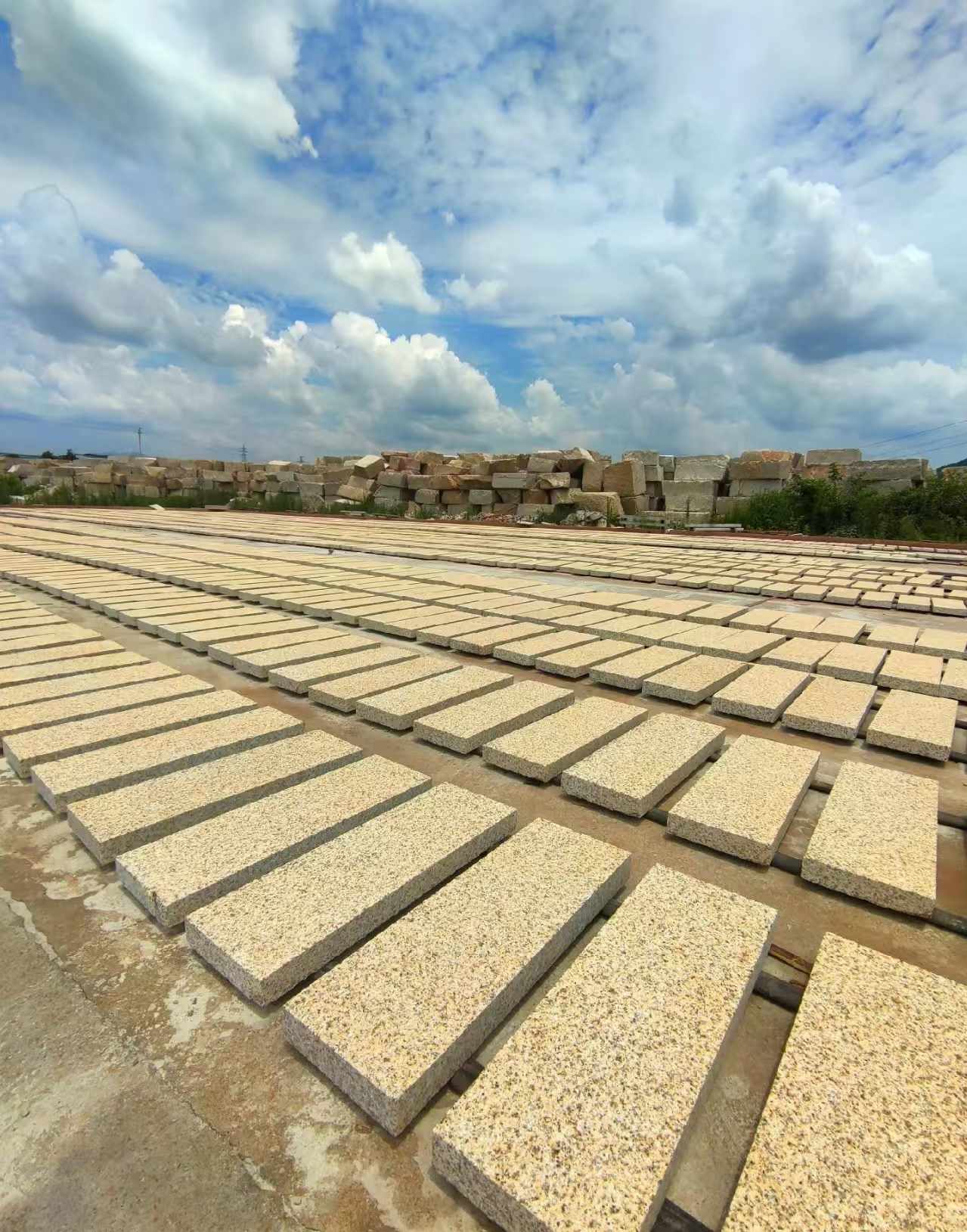聊城 黄金麻荔枝面花岗岩石材地铺石防护中
