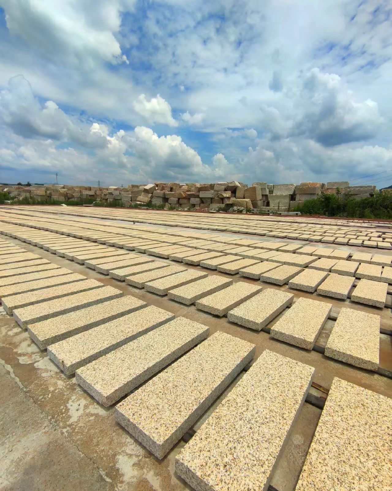 聊城 黄金麻花岗岩荔枝面地铺石防护中